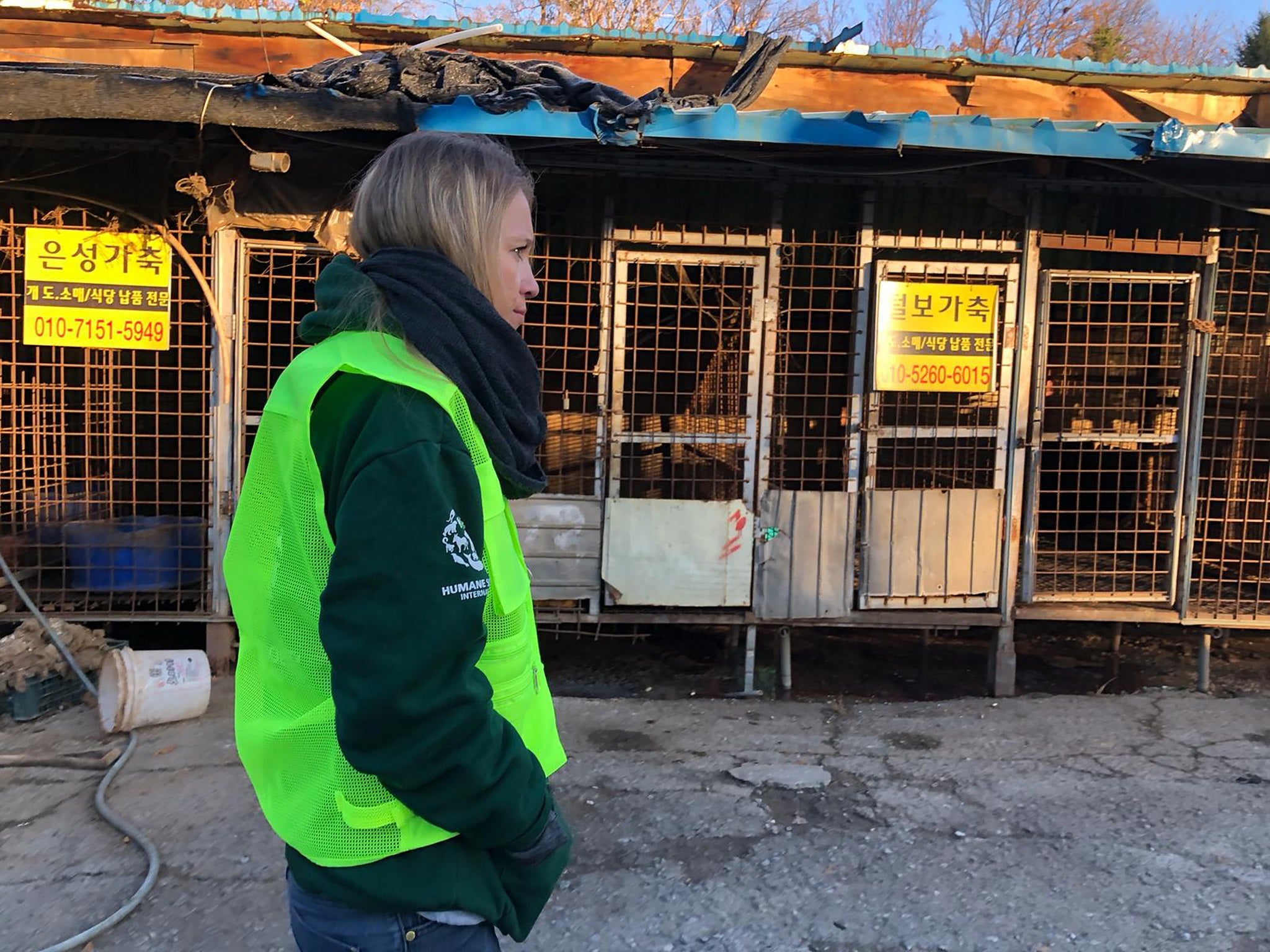 A photo taken on November 22, 2018 by US-based animal rights group Humane Society International shows the Taepyeong-dong dog slaughterhouse complex in Seongnam city, south of Seoul, being dismantled.