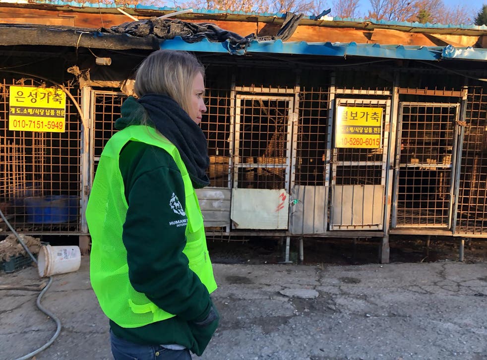 A photo taken on November 22, 2018 by US-based animal rights group Humane Society International shows the Taepyeong-dong dog slaughterhouse complex in Seongnam city, south of Seoul, being dismantled.
