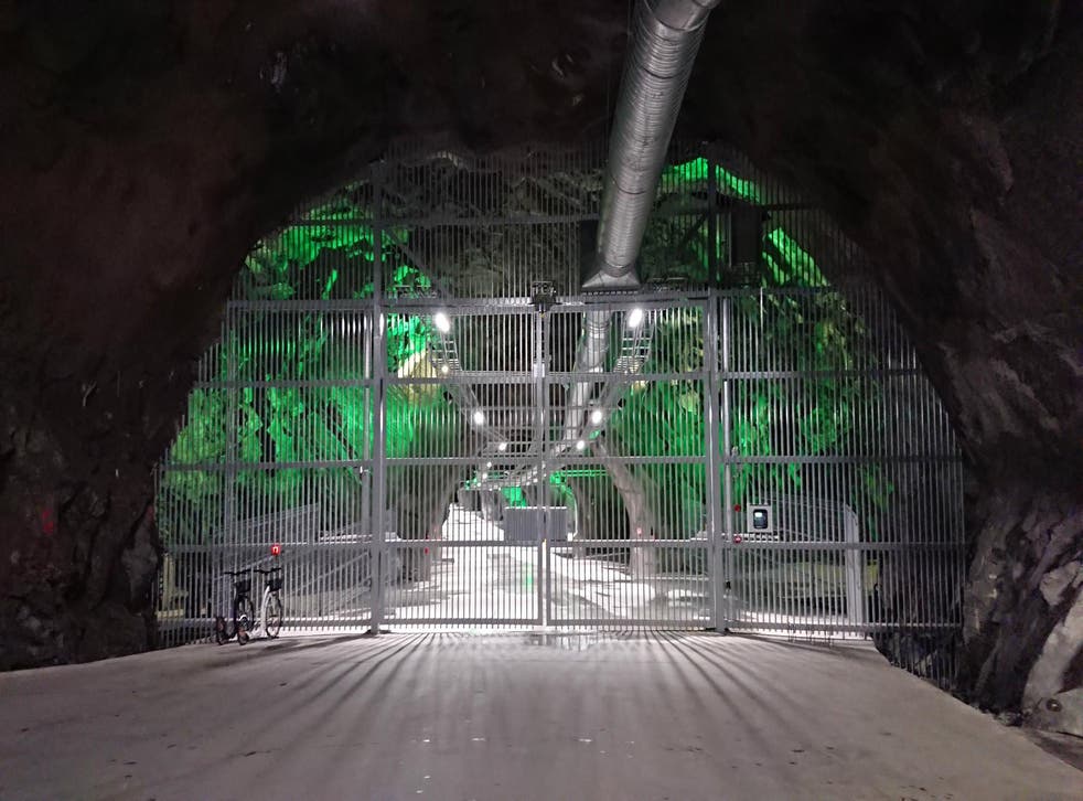 <p>La mina Lefdal, en Noruega, ha pasado de ser una mina de olivino tradicional a una mina de Bitcoin y criptomonedas</p>
