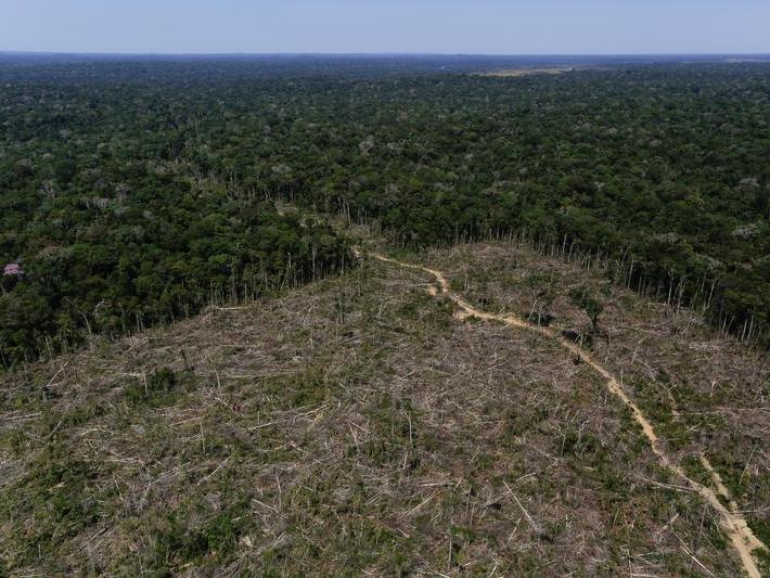 Deforested land in Amazonas, Brazil