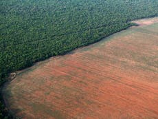 Illegal gold mining is destroying Amazon rainforest, research shows