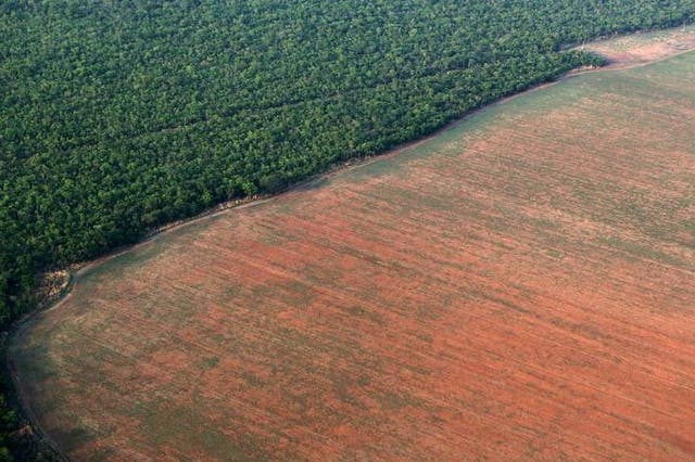 Ecological overspending is becoming increasingly evident in the form of deforestation (pictured, Amazon rainforest) and soil erosion
