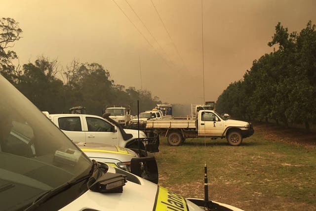 The fire has burnt through approximately 17,000 hectares in the Deepwater National Park