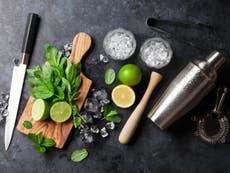 9 best cocktail making kits