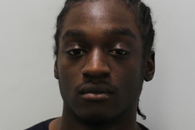 Joshua Gardner, 18, was jailed for two years but the sentence was suspended