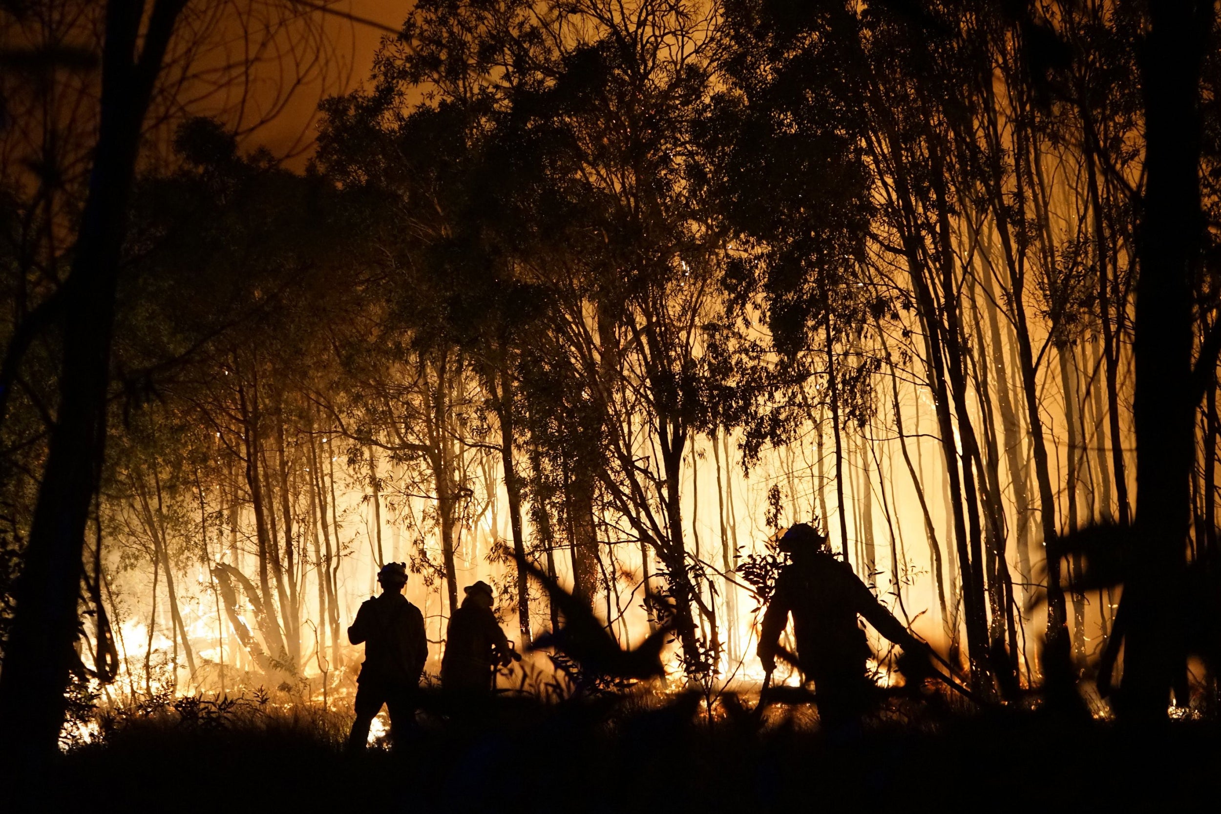 Bushfires in Australia, a country set to miss a key deadline for upping its climate ambitions
