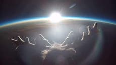 Dad sends son's toy reindeer into space to teach him 'ideas can come true'