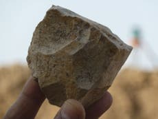 Scientists rethink human evolution after discovery of ancient tools 