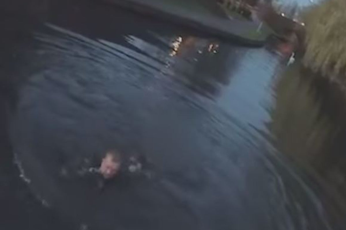 Police officer filmed jumping into freezing canal to save struggling ...