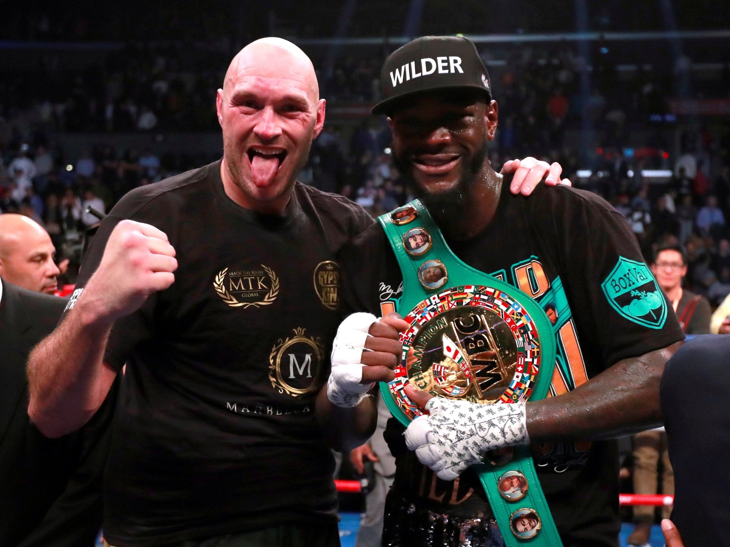 Wilder and Fury were forced to settle for a draw