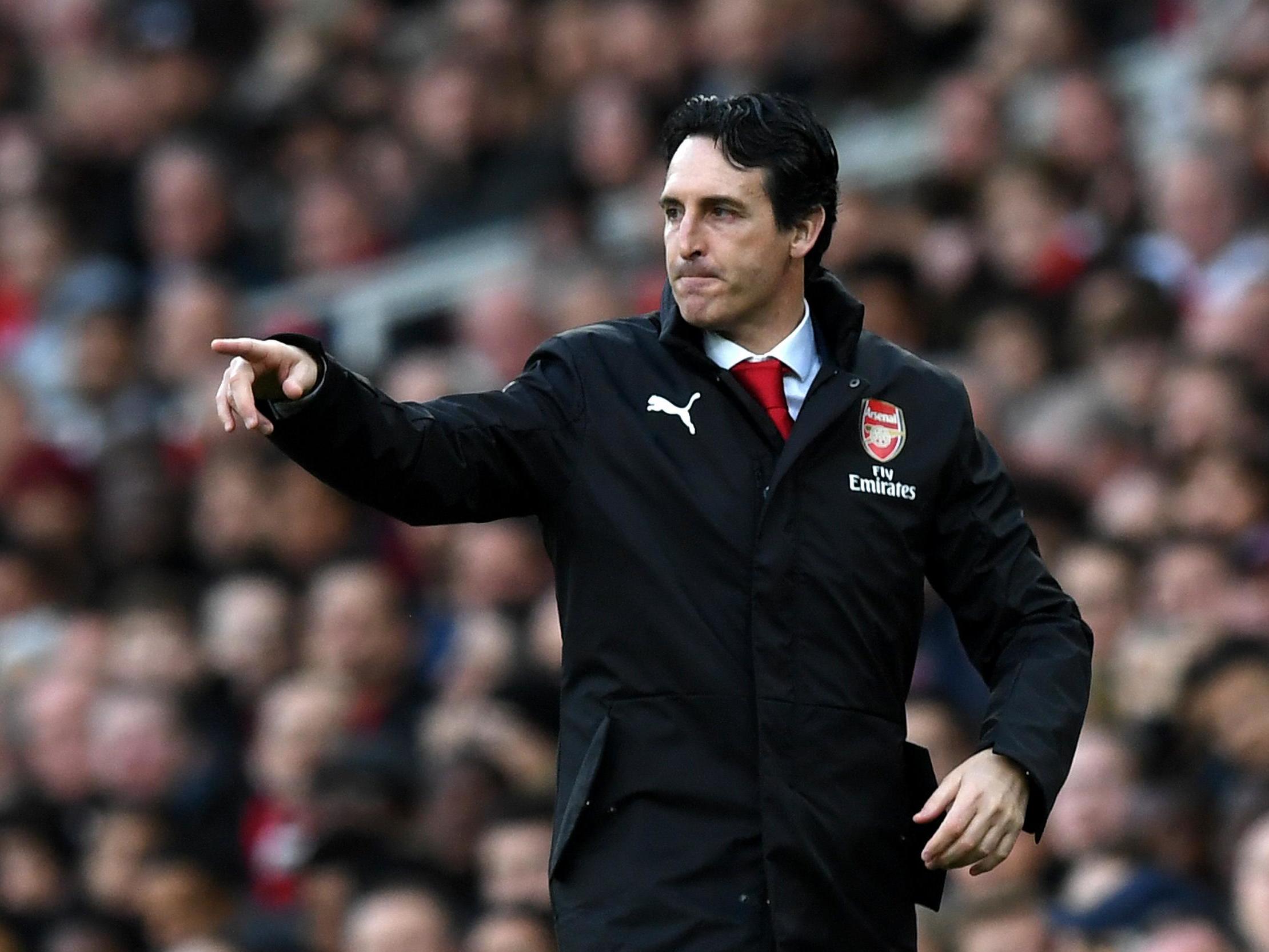 The Arsenal boss issues instructions from the sideline at the Emirates