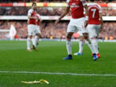 Spurs to ban fan arrested for throwing banana skin at Aubameyang