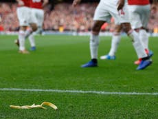 Spurs fan who threw banana skin has embarrassed his club, says Wright