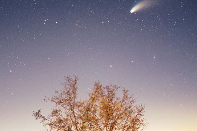 Wirtanen may not compare to Comet Hale-Bopp's appearance in 1997, but you never know
