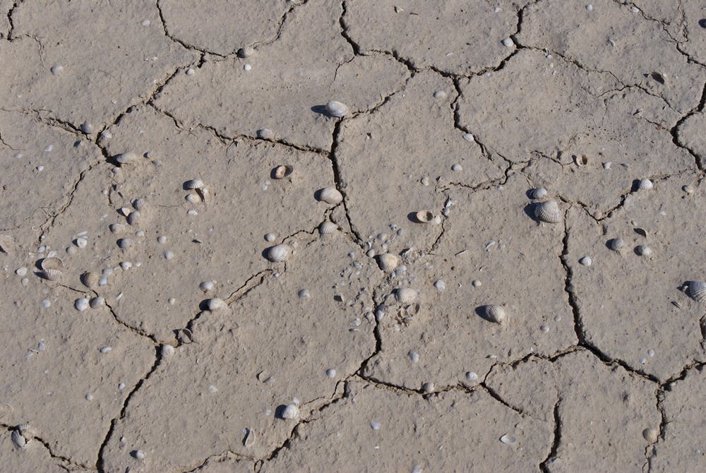 The former lake bed of the Aral Sea (Timothy Clack)