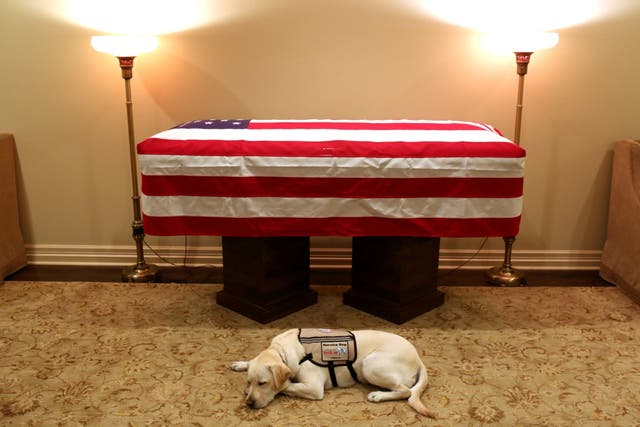 Sully the service dog's bond with George HW Bush defended
