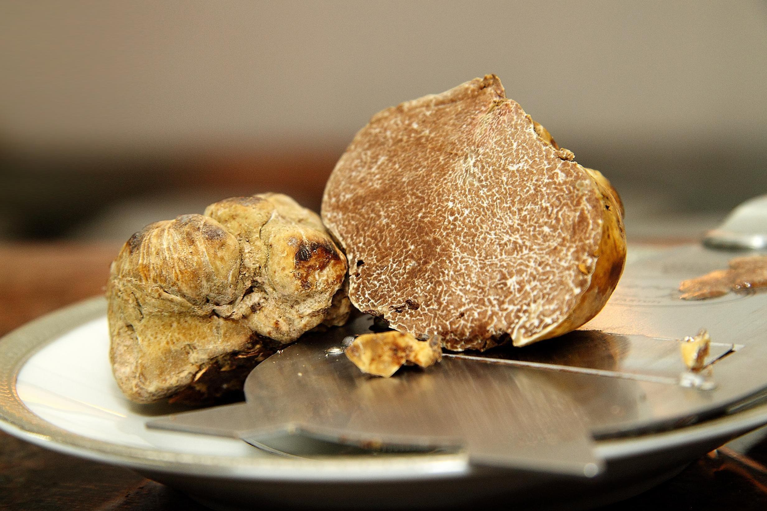 White Truffle Prices Are Half The Cost Of Last Year S The Independent The Independent