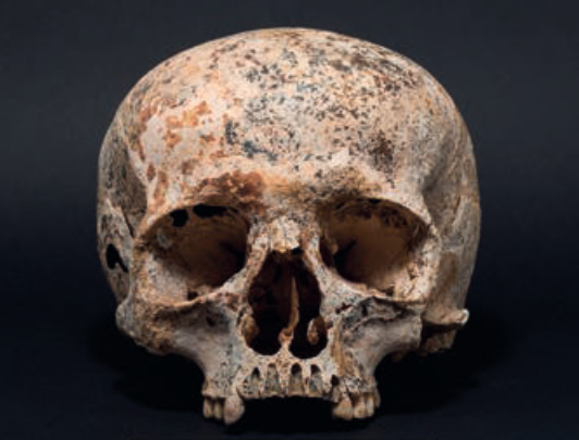 The skull was first unearthed by two men quarrying rock for a local road in 1987