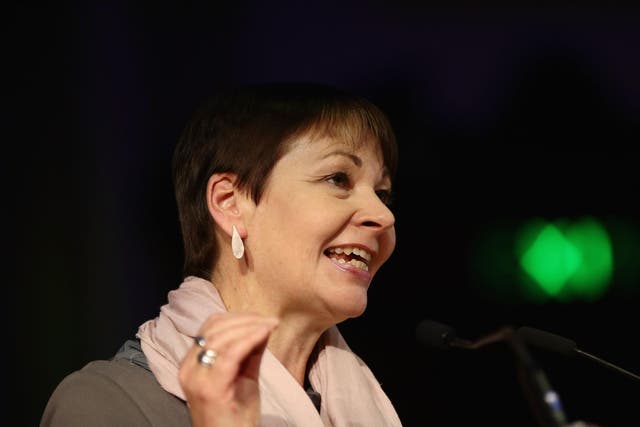 Caroline Lucas, Green MP