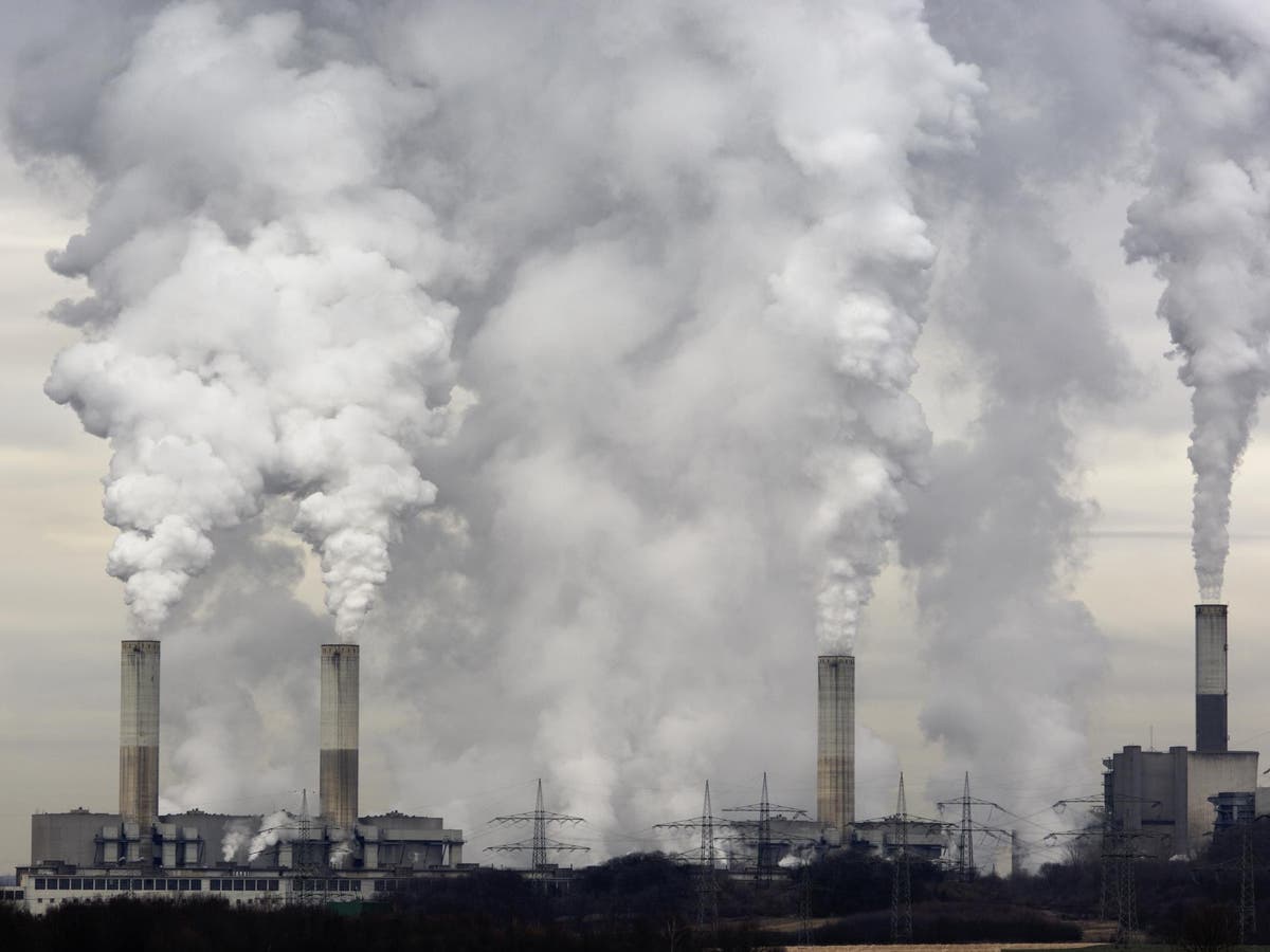 Just 10 per cent of UK companies have a carbon-cutting strategy