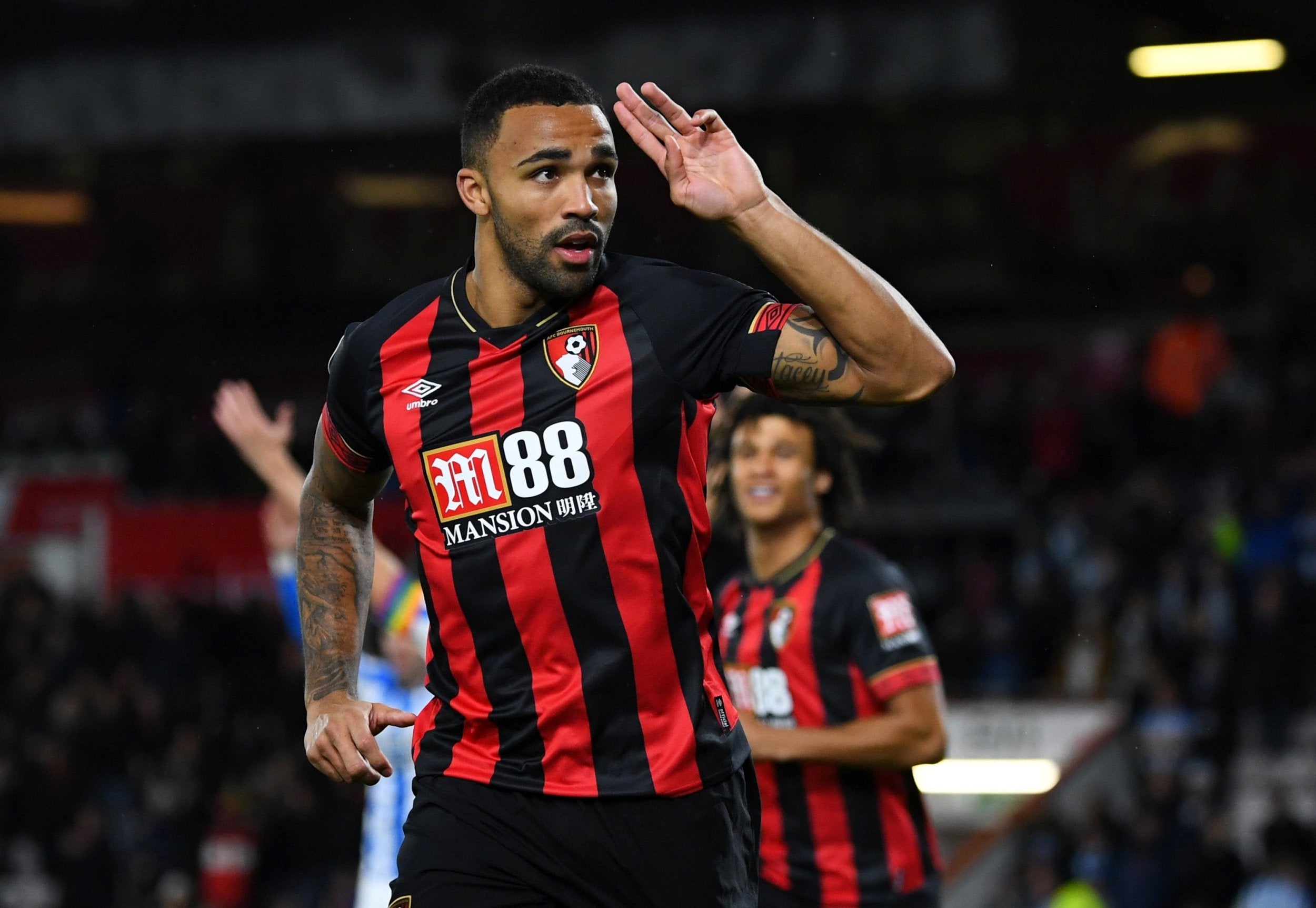 Callum Wilson scored his eighth goal of the season