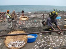 The women making their mark on Rwanda’s fishing industry