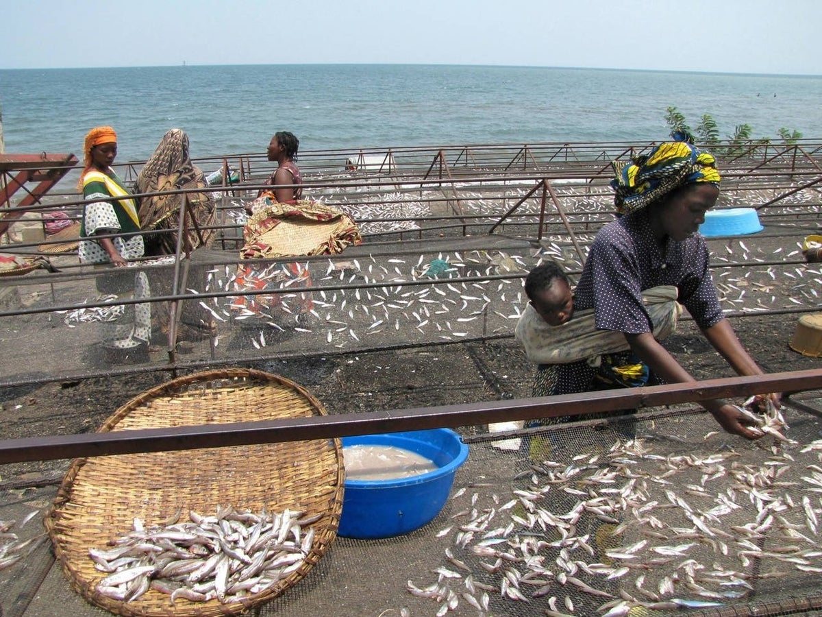 The women making their mark on Rwanda's fishing industry