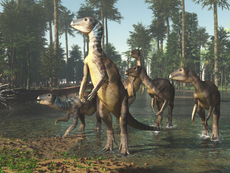 New dog-sized dinosaur species found in Australia