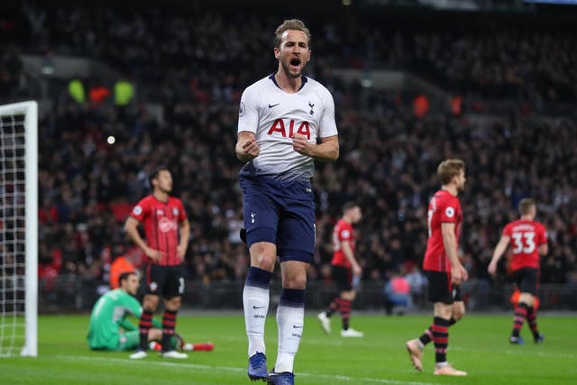 Harry Kane celebrates after putting Spurs ahead against Southampton