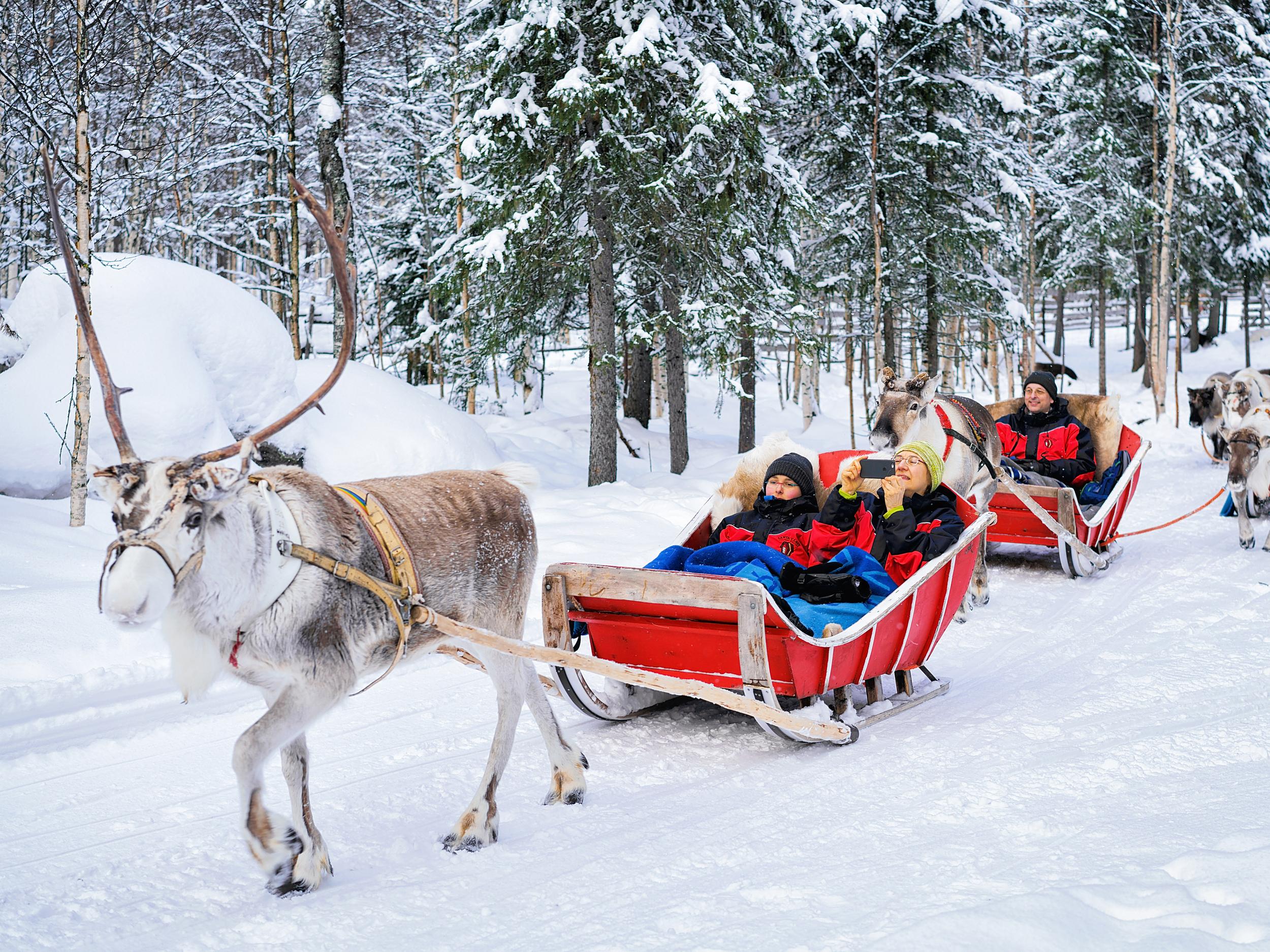 Reasons to Visit Lapland at Christmas Pick Article