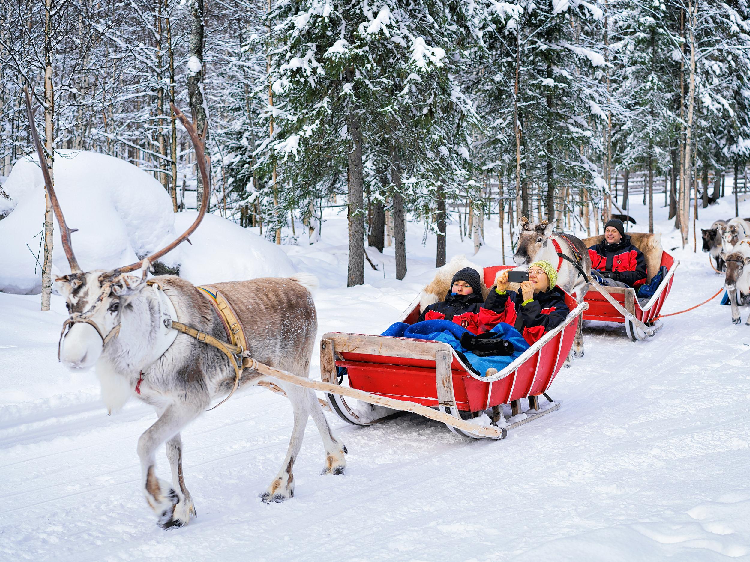 santa lapland day trips