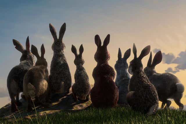 A still from the upcoming adaptation of 'Watership Down'