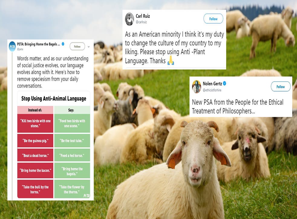 Peta S Anti Animal Language Chart Is Being Mocked With Hilarious Memes Indy100 Indy100 Peta S Anti Animal Language Chart Is Being Mocked With Hilarious Memes Indy100 Indy100