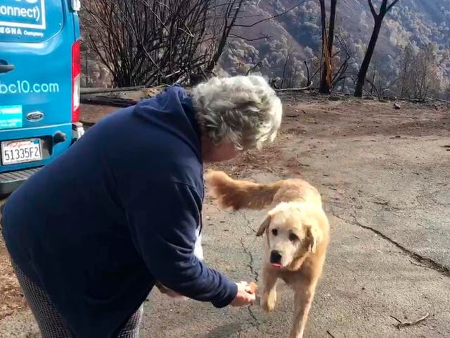 Owner Andrea Gaylord is reunited with Madison at their ruined home in Paradise