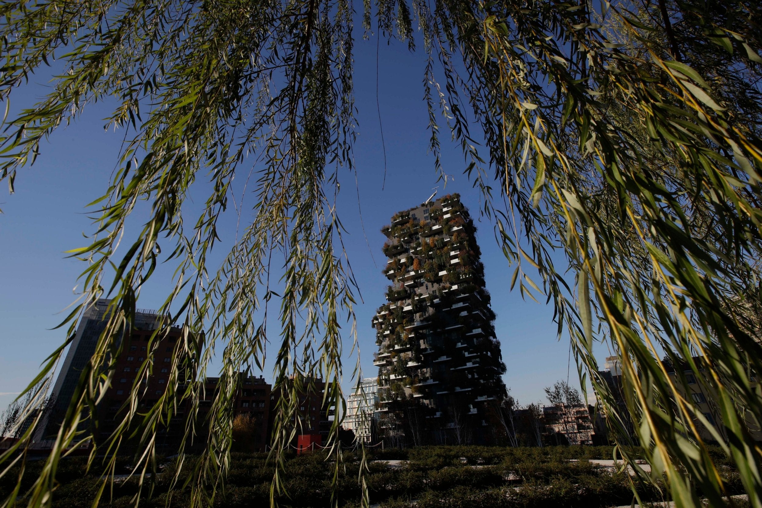 A view of the vertical forest residential towers in Milan, Italy