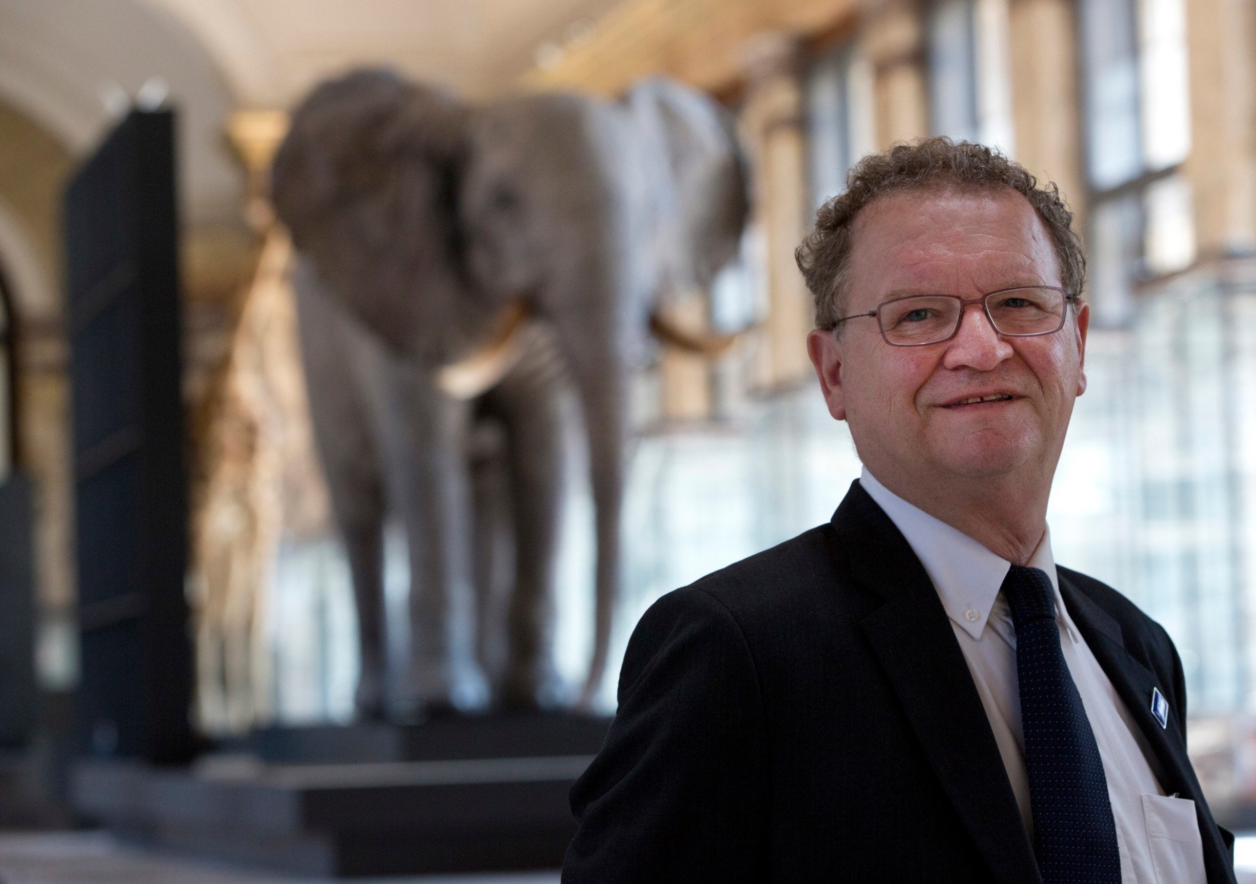 The director-general of the museum, Guido Gryseels, hopes the change will help Belgium distance itself from its past without denying it