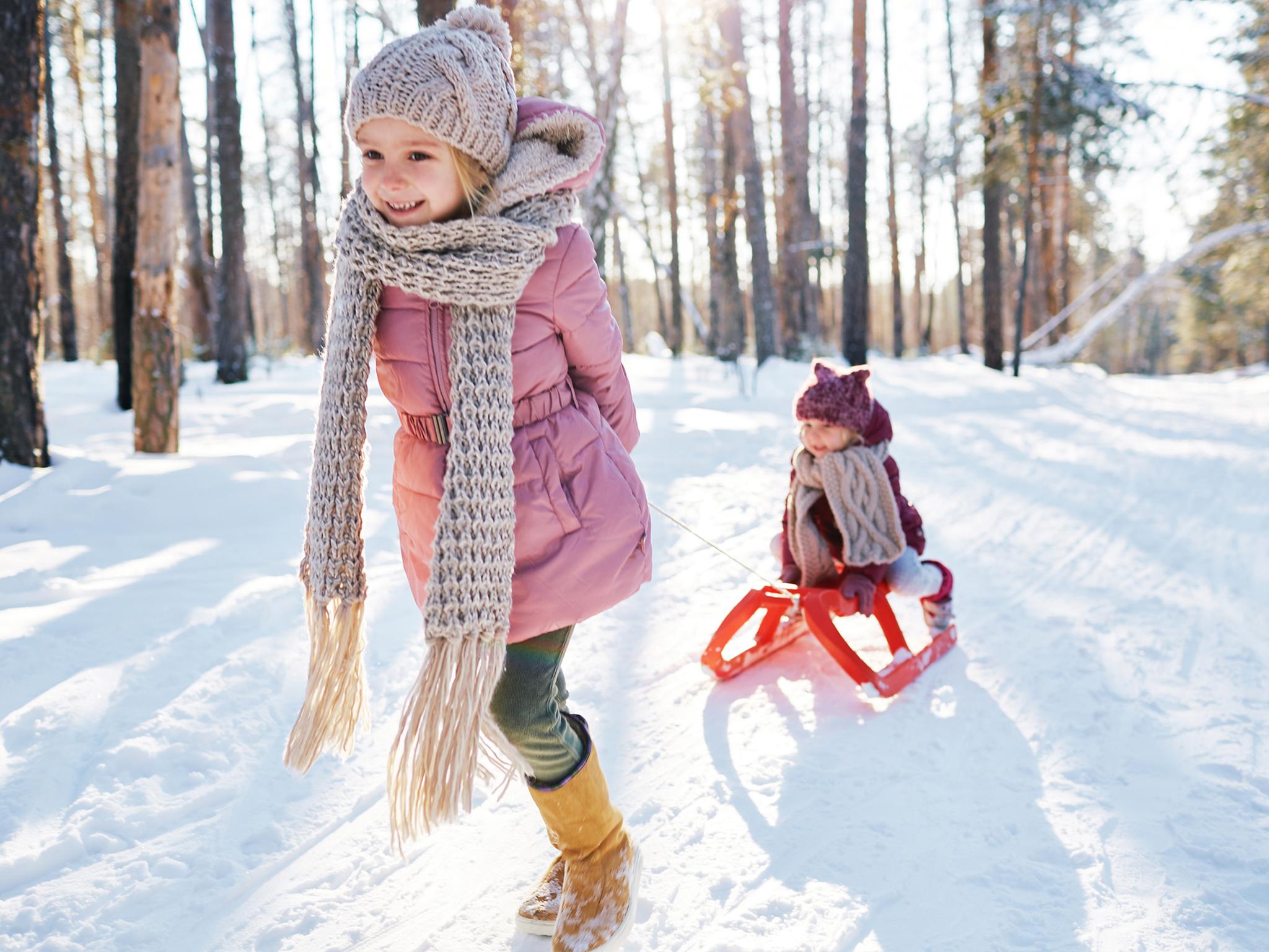 8 best sledges and toboggans | The Kids love to play in the snow