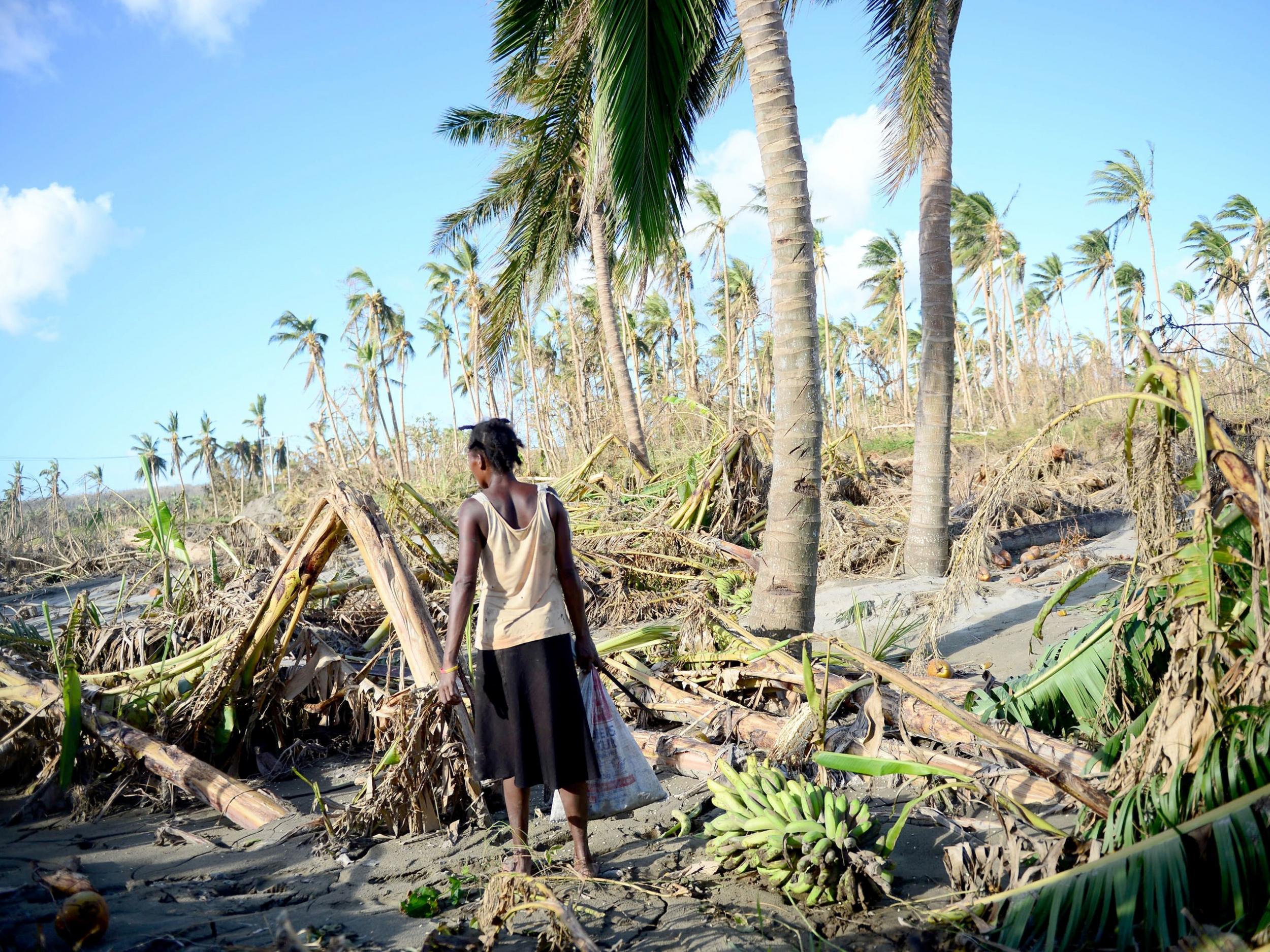 When Cyclone Pam struck Vanuatu in 2015 it wiped out much of the island nation's GDP