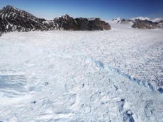 Antarctic losing 500% more ice a year than in 80s, Nasa study says