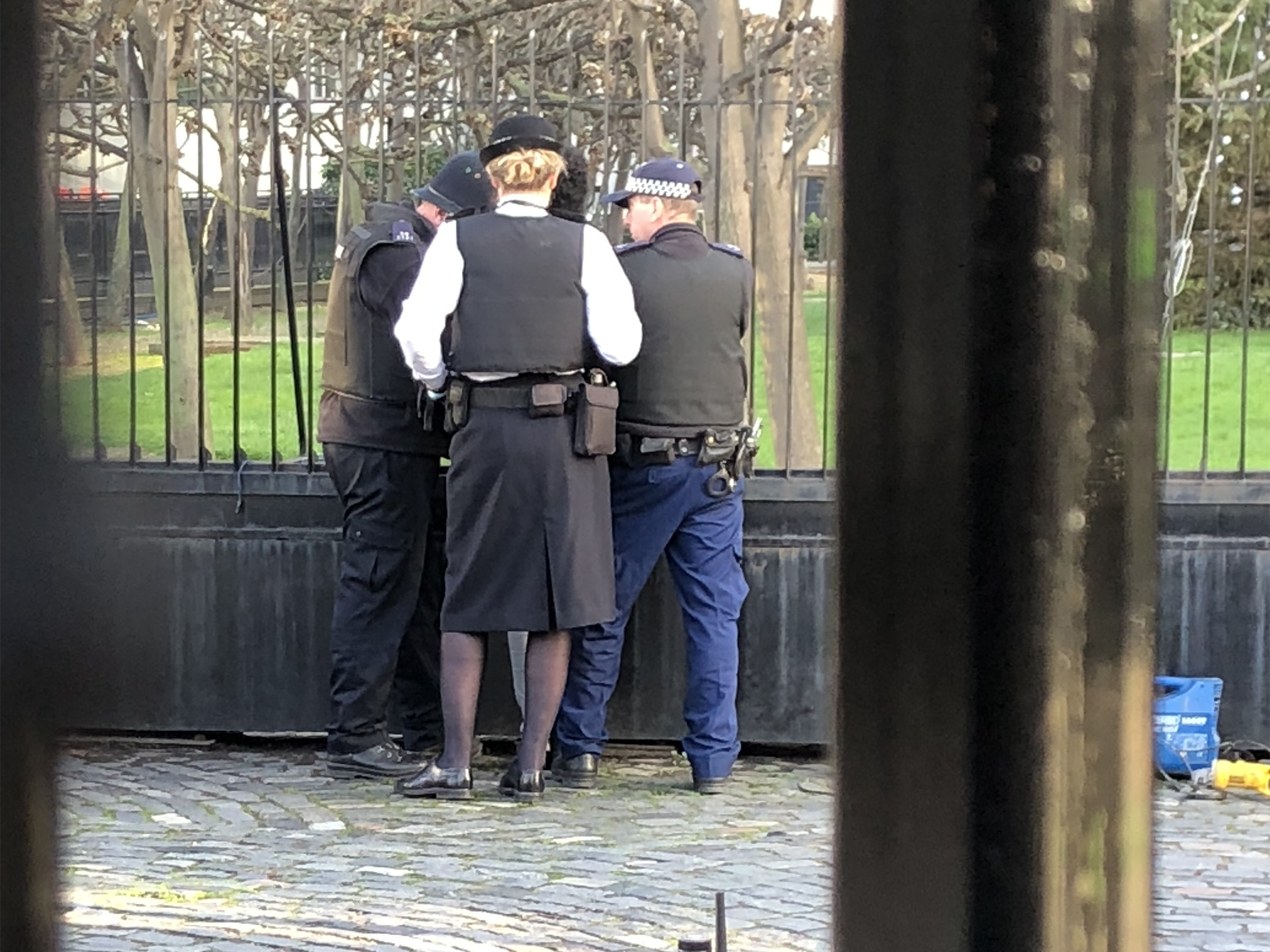 Suspect held inside Palace of Westminster