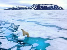 Arctic has experienced its five warmest years on record