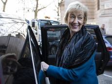 Andrea Leadsom saw her chance to distance herself from PM’s deal