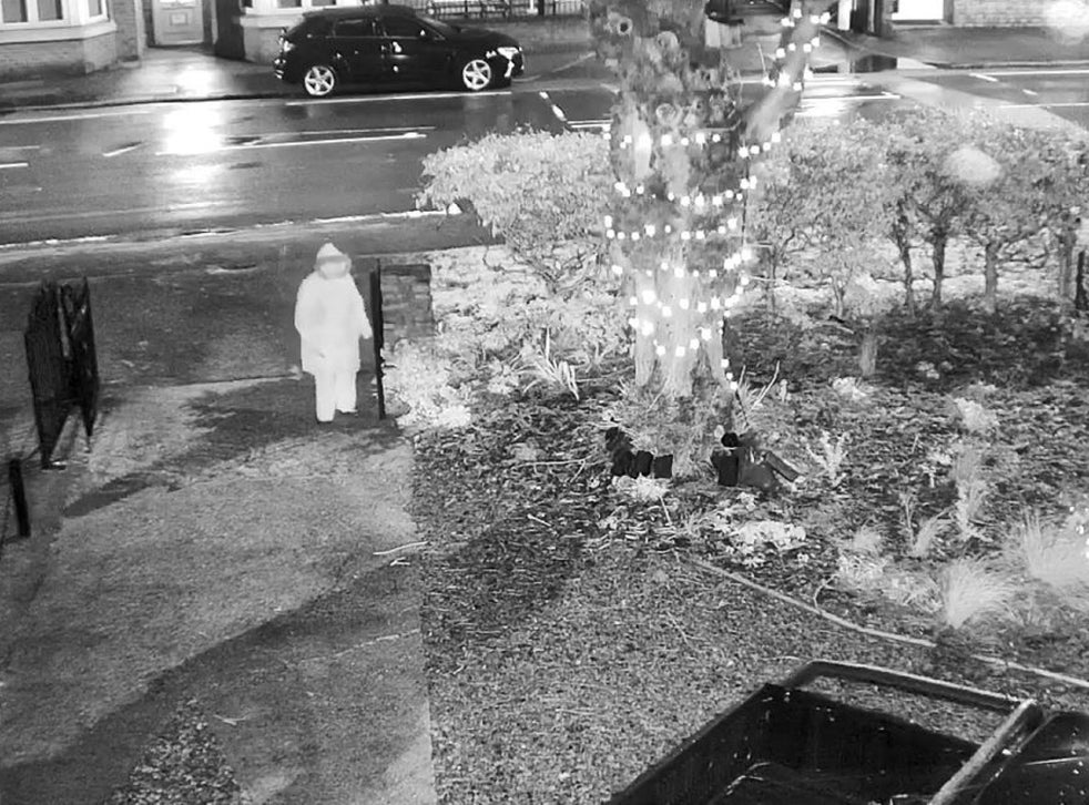 Elderly Woman Cuts Down Flashing Christmas Lights After Sneaking Into Family S Garden In Middle Of Night The Independent The Independent
