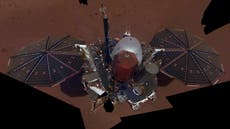 Nasa's Mars InSight lander sends back stunning first selfie