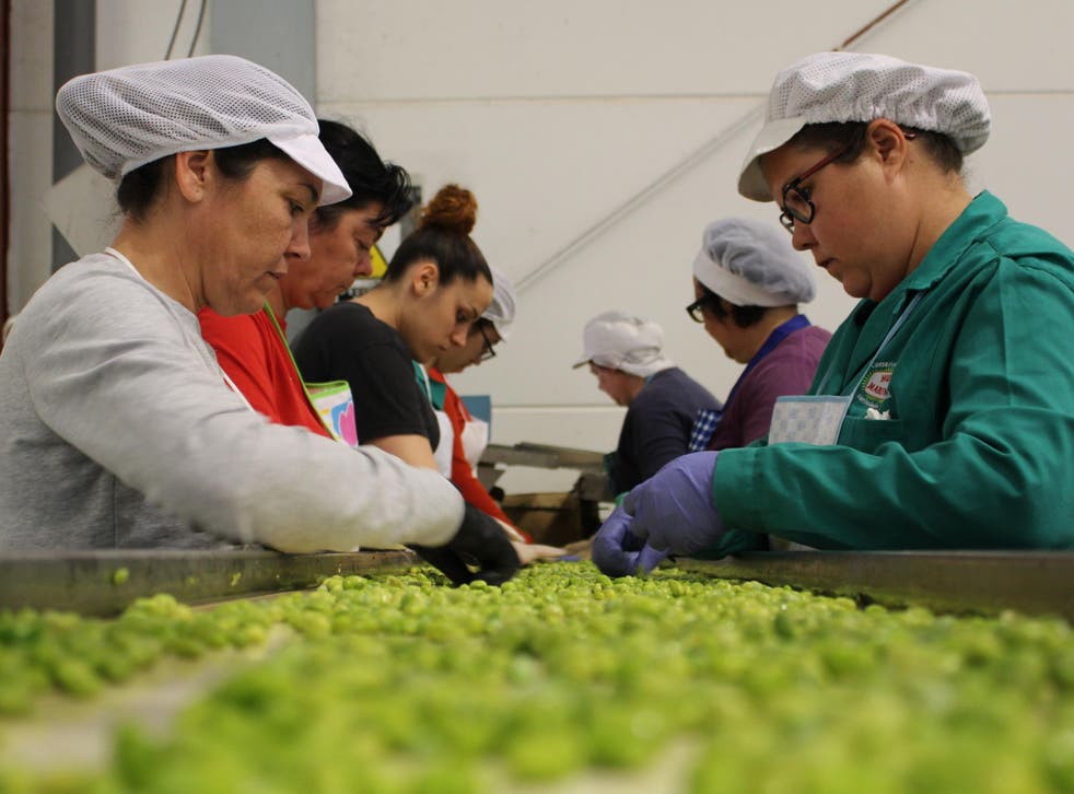 Workers sort beans ready for distribution across the country