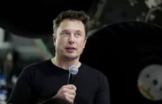 Elon Musk seeks to dismiss ‘paedo’ lawsuit as ‘schoolyard spat’