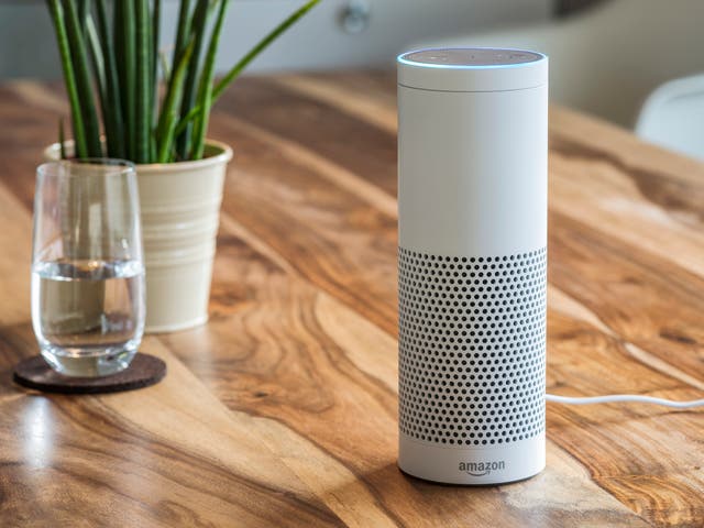 New Amazon Echo owners reported their Alexa-powered device was not working on Christmas Day