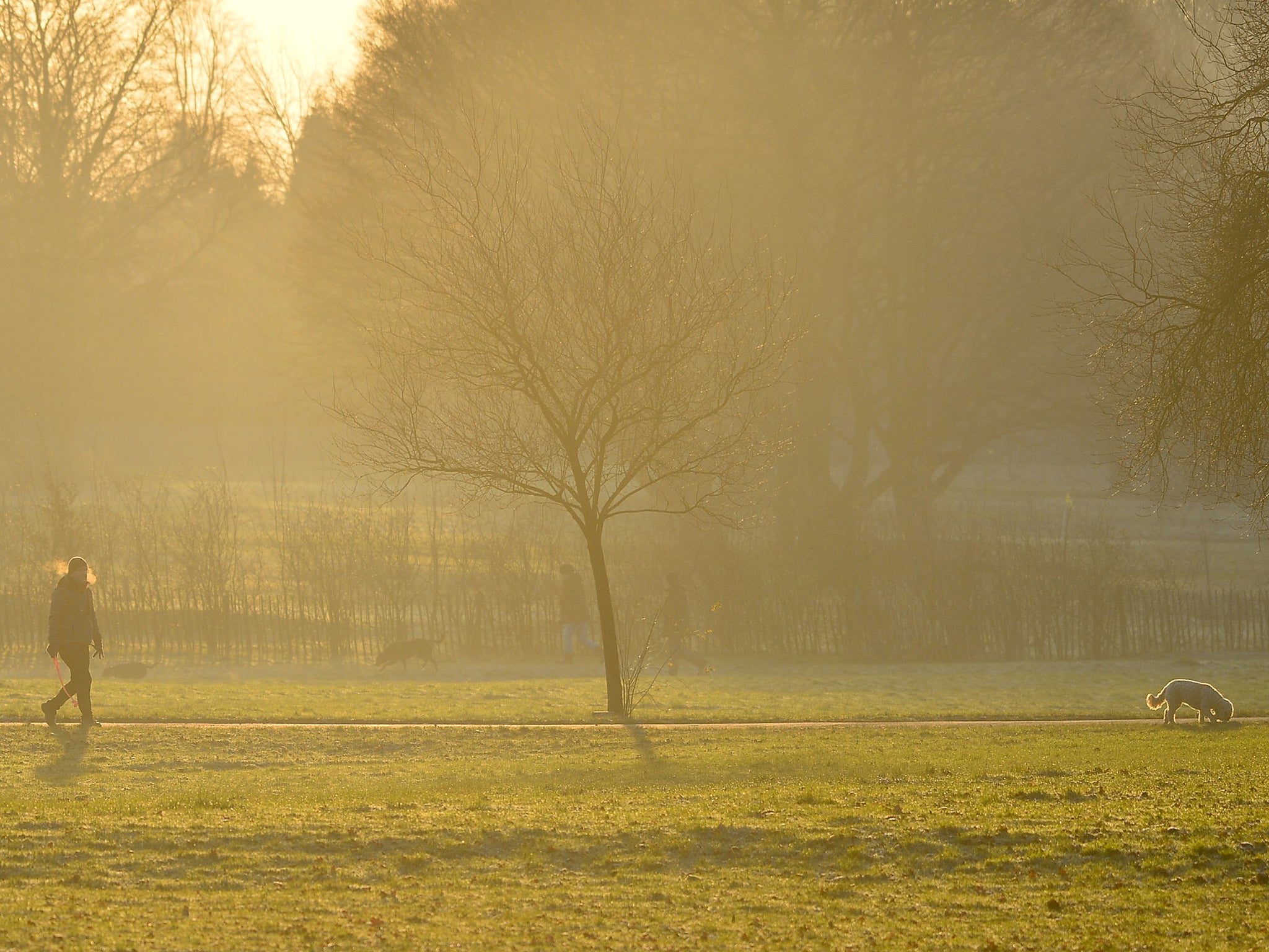 <p>Frosty weather expected early next week as temperature plumments </p>