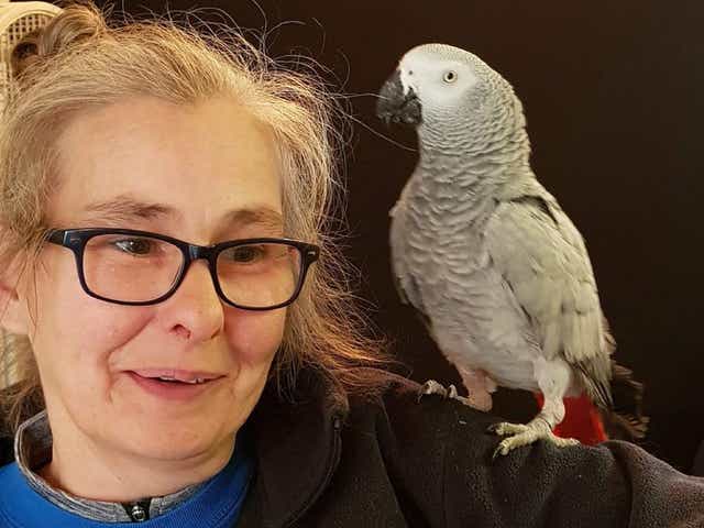 Homeless African grey parrot Rocco was caught ordering strawberries, watermelons and ice-cream off National Animal Welfare Trust worker Marion Wischnewski's Amazon Alexa device.