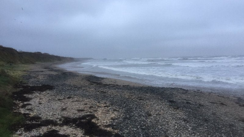 An investigation is under way after the body of a newborn baby was found at a Dublin beach.
